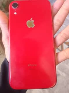 iphone xr 64gb pta approved