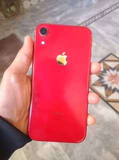 iphone xr 64gb pta approved for sale