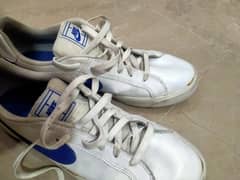 Nike shoes (limited edition)