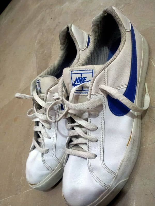 Nike shoes (limited edition) 2