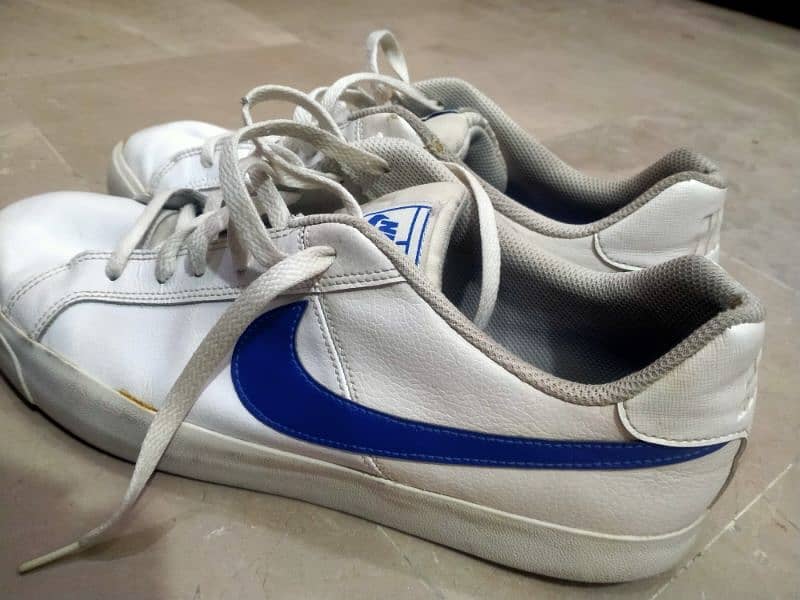 Nike shoes (limited edition) 3