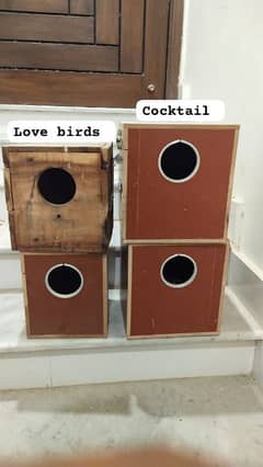 breeding box for cocktails and love birds