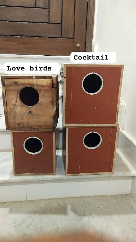 breeding box for cocktails and love birds 0