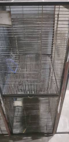 parrot cage