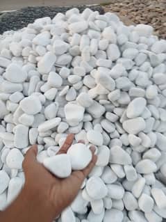 Stones Pebbles Gravel Chips Garden Aquarium Landscape PlantsNPots