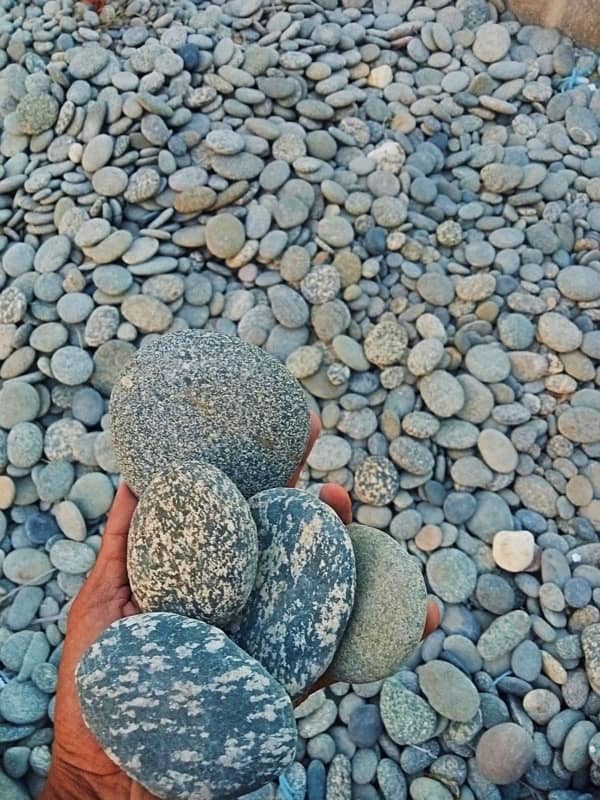 Stones Pebbles Gravel Chips Garden Aquarium Landscape PlantsNPots 1