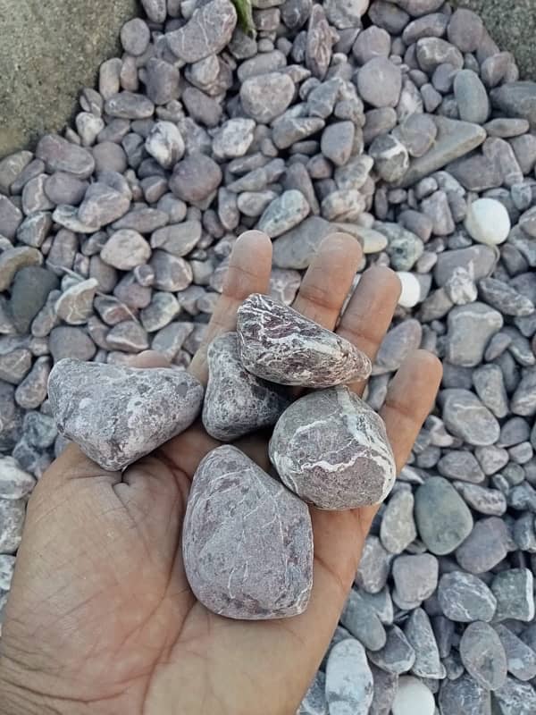 Stones Pebbles Gravel Chips Garden Aquarium Landscape PlantsNPots 2