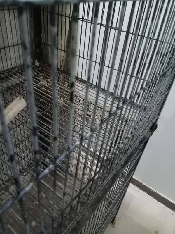 Heavy cage for birds and animals 1