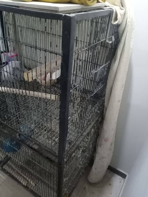 Heavy cage for birds and animals 2