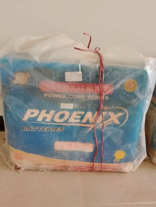 phoenix battery Brand New 1