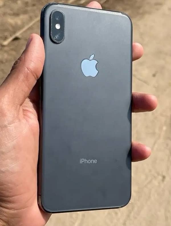 xs max 256 Gb 0