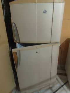 PEL Jumbo size fridge