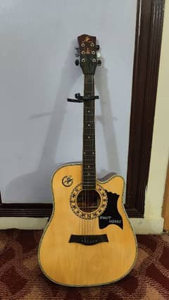 Acoustic guitar used