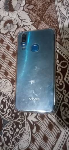 vivo