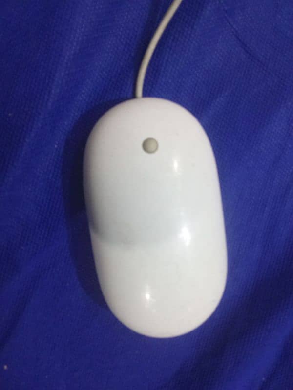 apple weird mouse for sell 2