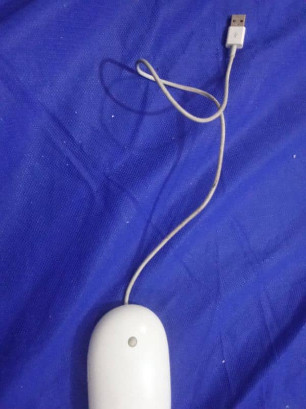 apple weird mouse for sell 3