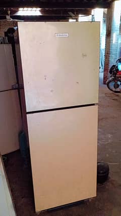 Fridge medium size