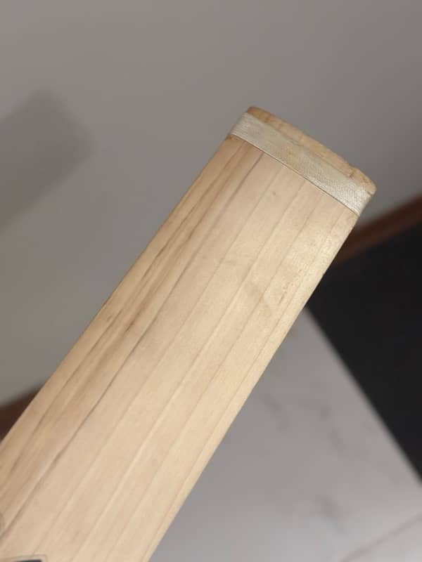 hard ball cricket bat 1