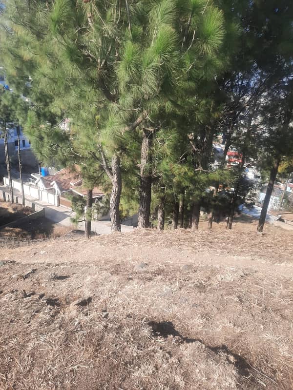 For Sale: 1 Kanal Plot in Kaghan Colony Top 2