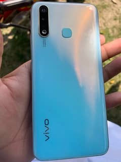 vivo