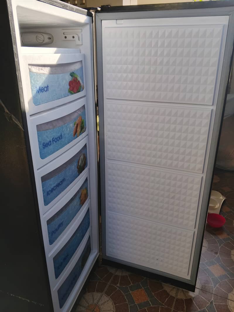 Dawlance Glass Door Black Vertical Freezer 5