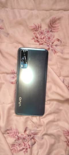 vivo