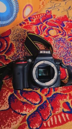 dslr nikon