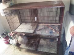 Cage Pinjra For All Birds