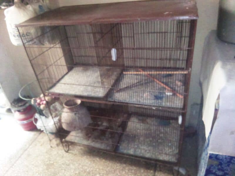 Cage Pinjra For All Birds 1