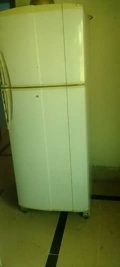 Fridge