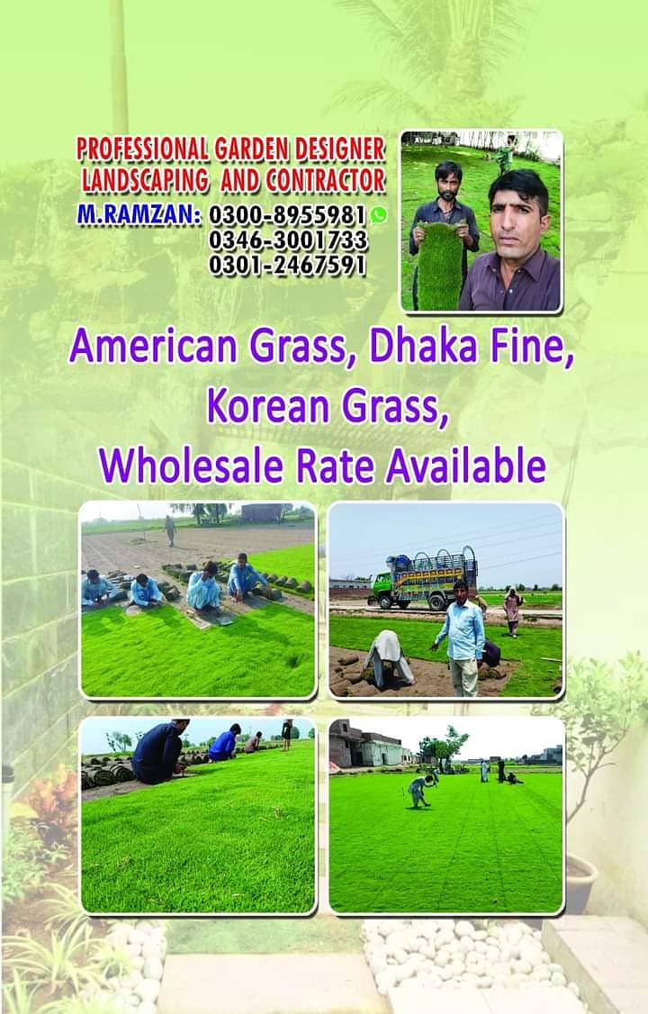 AMERICAN / NATURAL GRASS WHOLE SALE AVAILABEL IN ALL PAKSIATAN 0