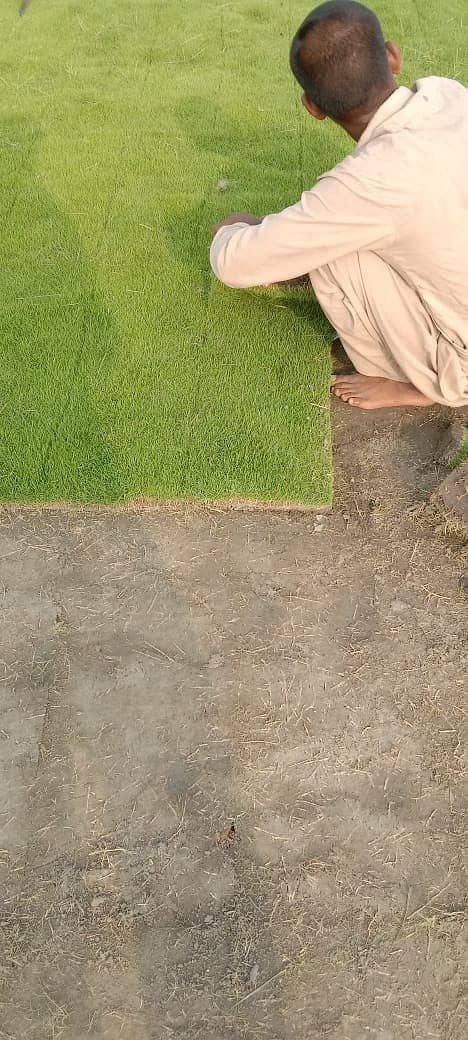 Artificial Grass Ground||Natural Grass|Artifical Grass|Grass flooring 4