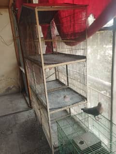 Parrots Cage Fore sell