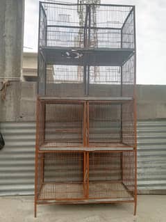 love birds cage