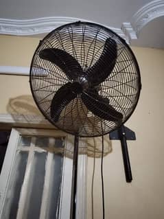 Fan