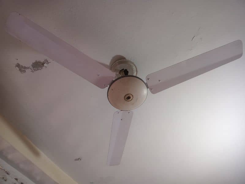 floor fan 1