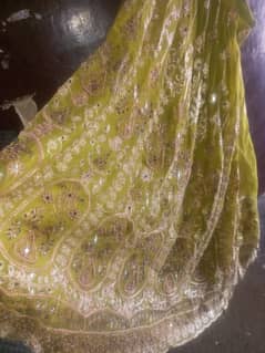 Lehnga with choli