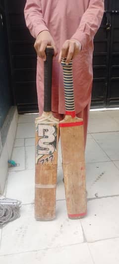 Hard Boll Cricket Bat