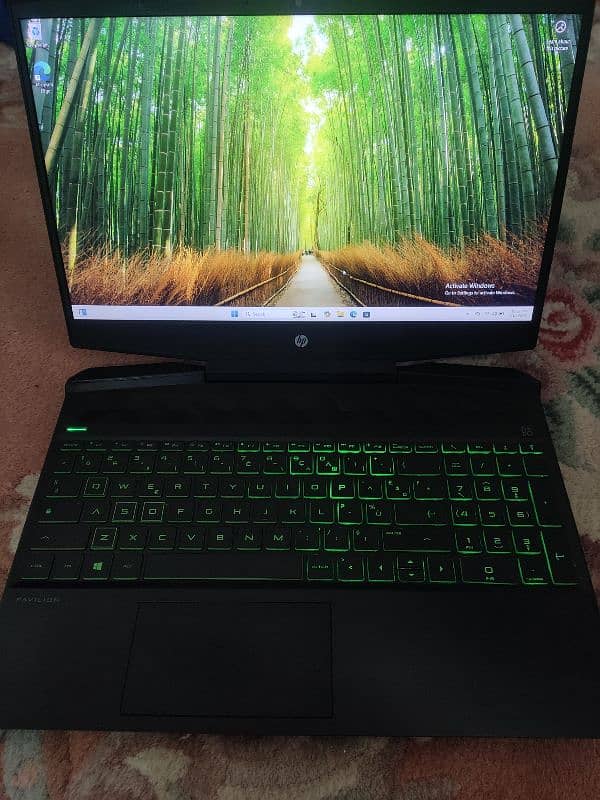 HP Pavilion 15 Gaming Laptop 1