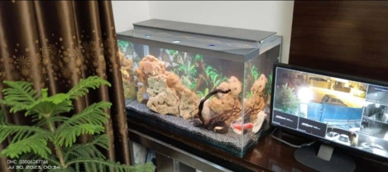 Table aquarium 0