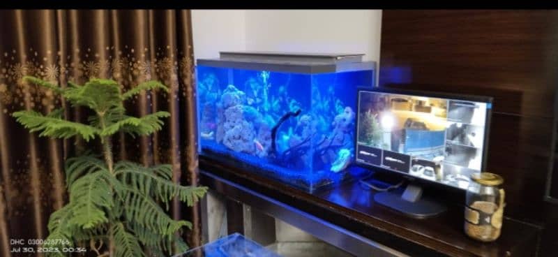 Table aquarium 1