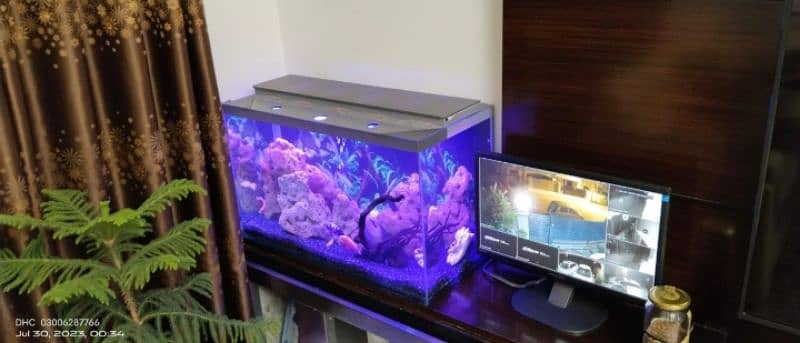 Table aquarium 2