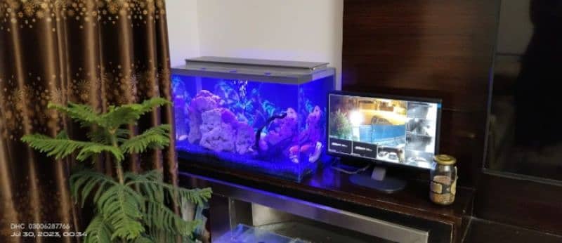 Table aquarium 3