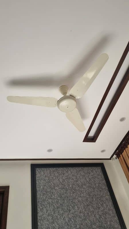 Brand new Ceiling Fans for Sale Off White 0