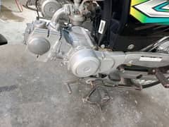 HONDA 70CC 2023