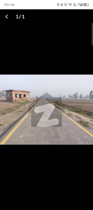 50 Kanal Open Land for sale in sham ki Bhattian 0