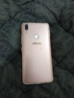 vivo