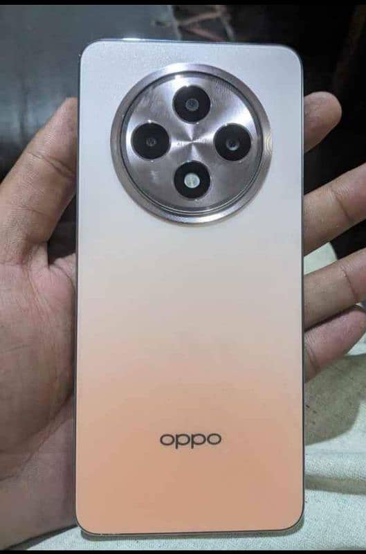 oppo reno 12f 12/256  all ok 10by10 condition 5g mobile ha 0