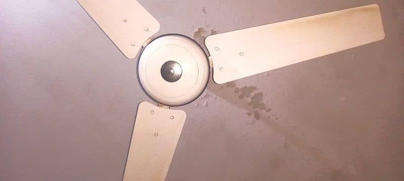 very less used Fan 1