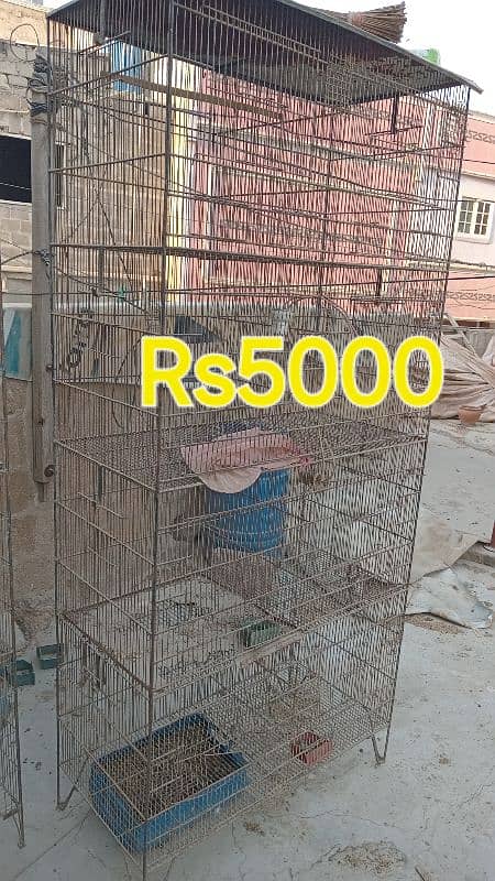 cages for sale 1